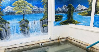 Death Valley Hot Springs Airstream