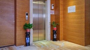 Un ascenseur dont les parois sont recouvertes de panneaux en bois, avec deux plantes en pot et un tapis au sol.
