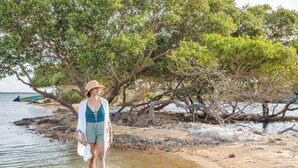 Une plage où l’on voit une personne se promener dans une eau peu profonde, des arbres et une vue lointaine sur la mer.