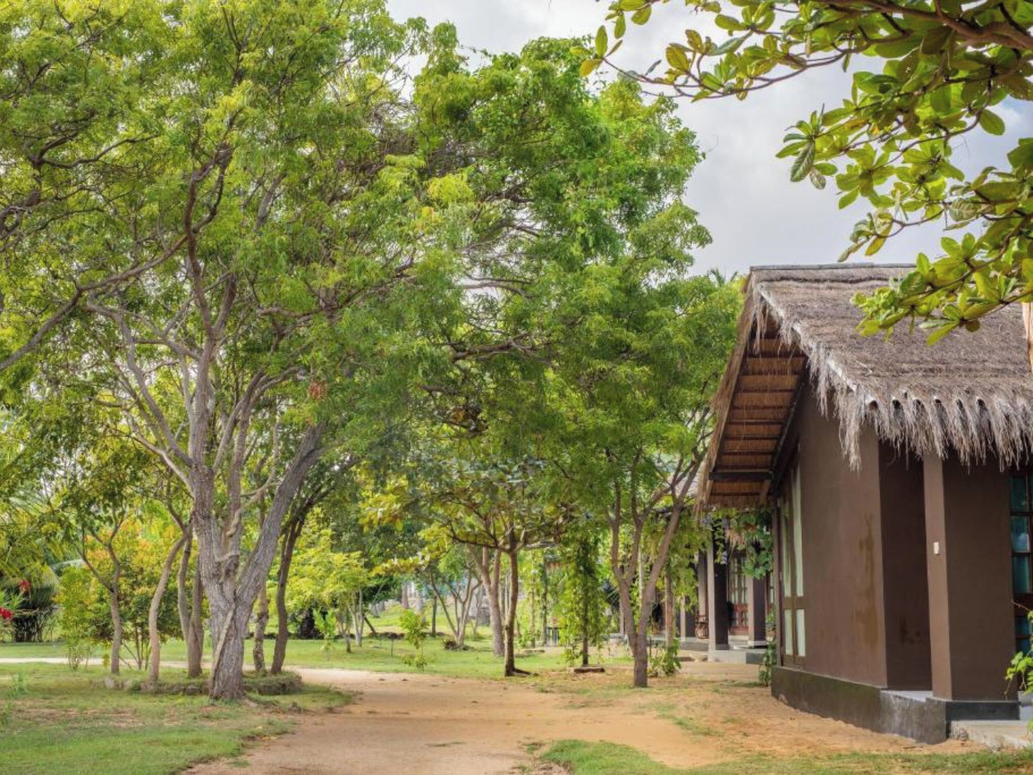庭園
