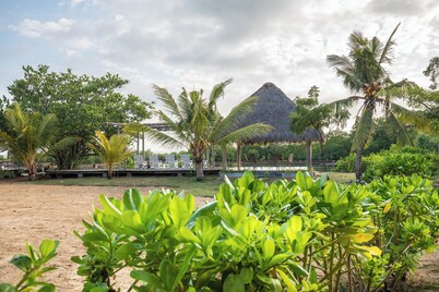 Club Mango