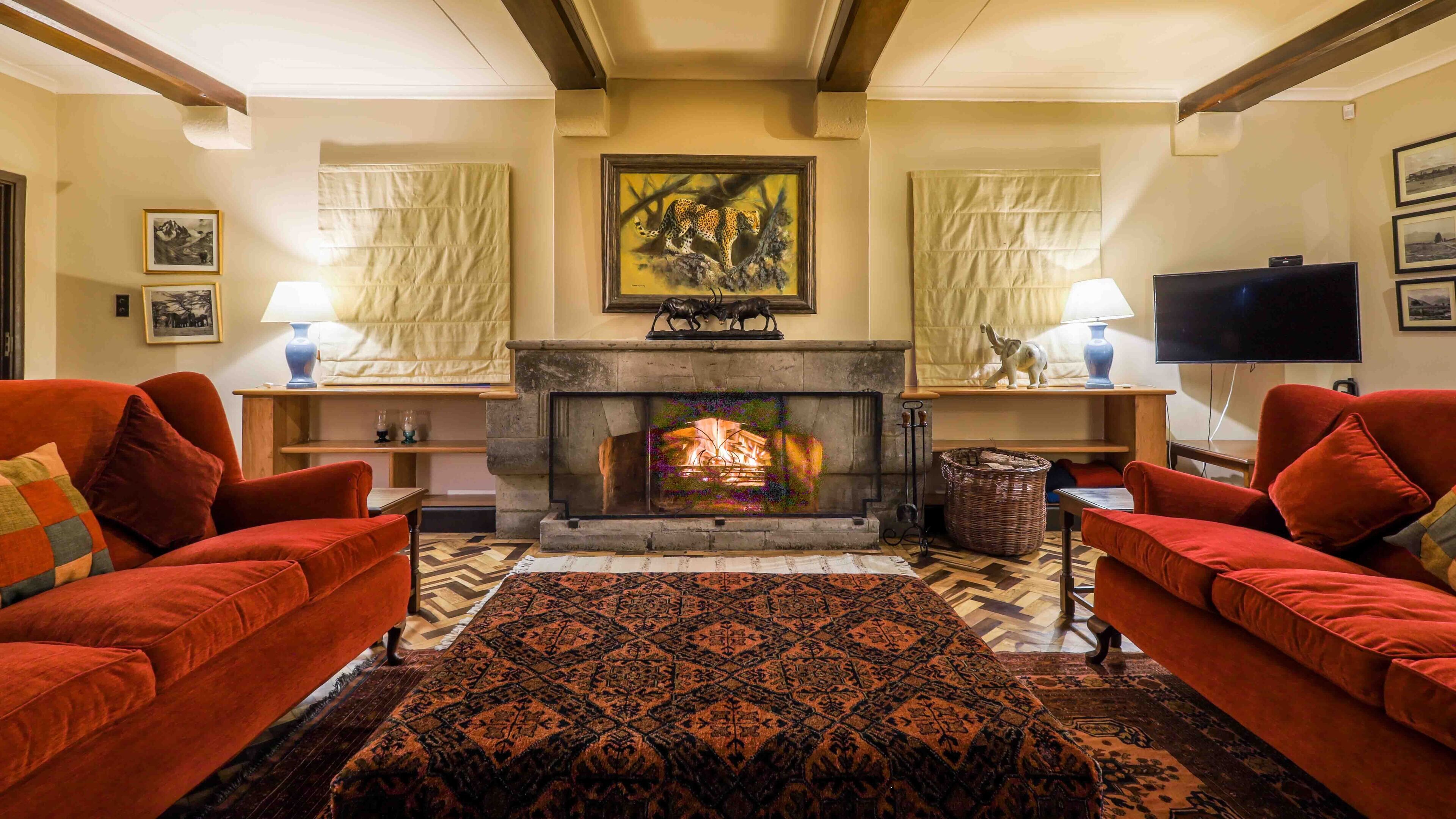 TV, fireplace, books