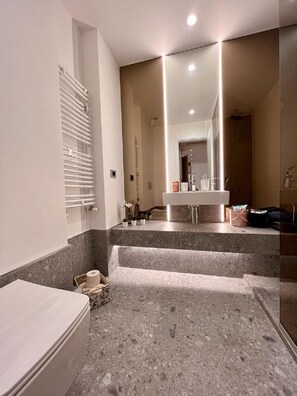 Shower, free toiletries, hair dryer, bathrobes