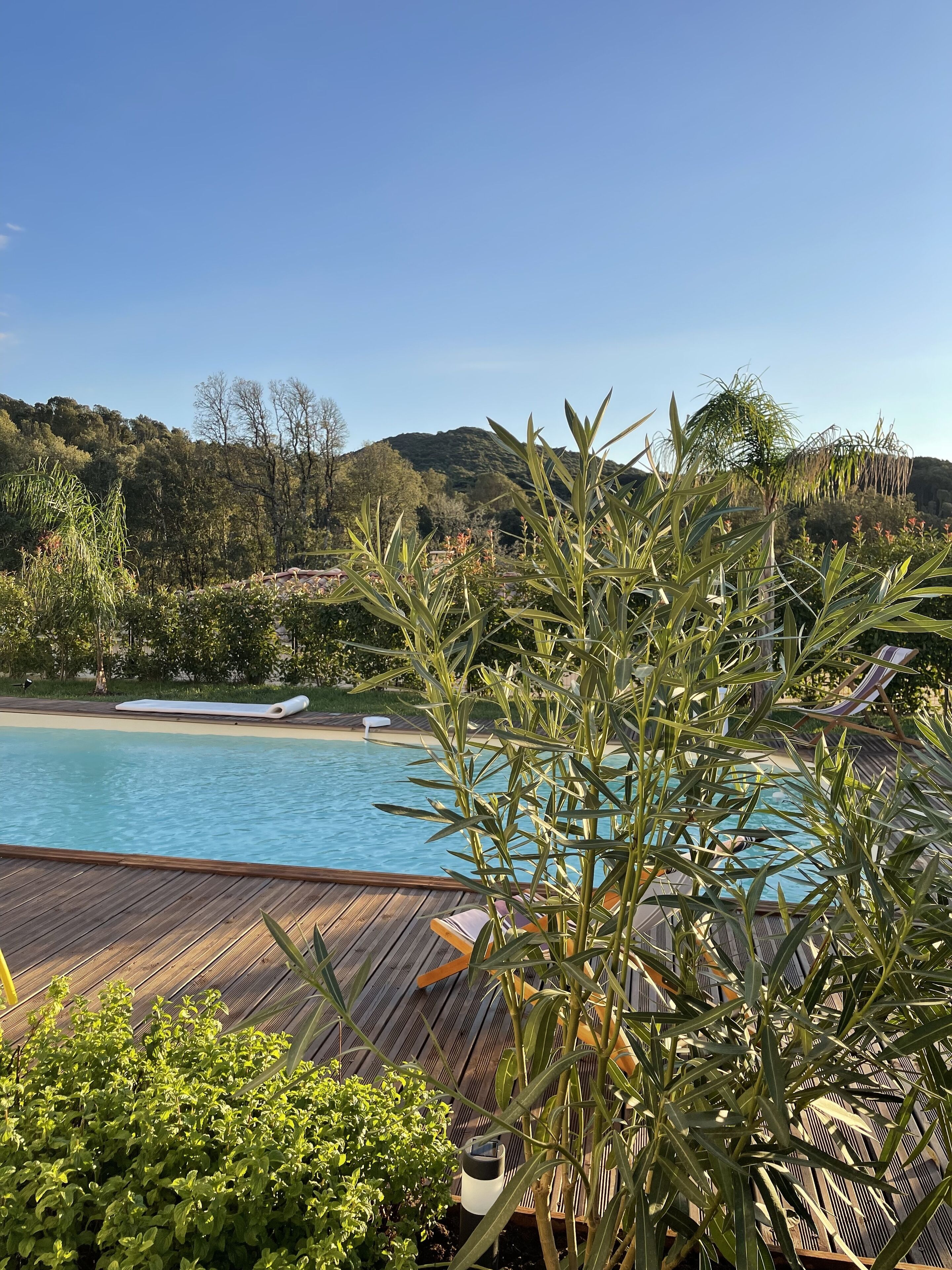 Piscine