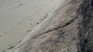 Een zandstrand met een rotsachtige kustlijn, een heldere lucht en een weids uitzicht op gebouwen en groen.