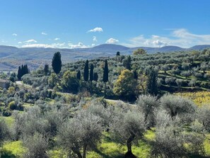 A rural landscape with olive trees, a stone building, and rolling hills in the background. - Channel Suite - 1 (Sinalunga)