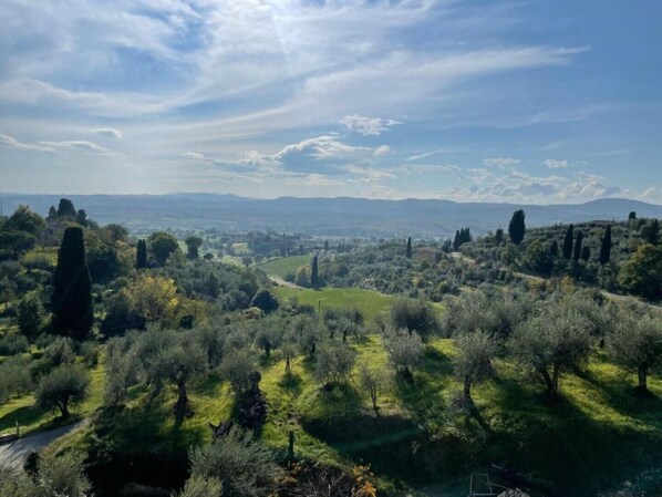 A panoramic view of a lush landscape with rolling hills, scattered trees, and distant mountains under a partly cloudy sky. - Channel Suite - 1 (Sinalunga)