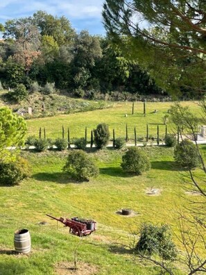 A rural landscape with a field, trees, and a red agricultural machine. - Channel Suite - 1 (Sinalunga)