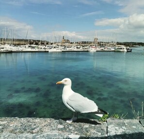 Marina - Maison de Ville à Proximité du Port et des Commerces! (Camaret-sur-Mer)