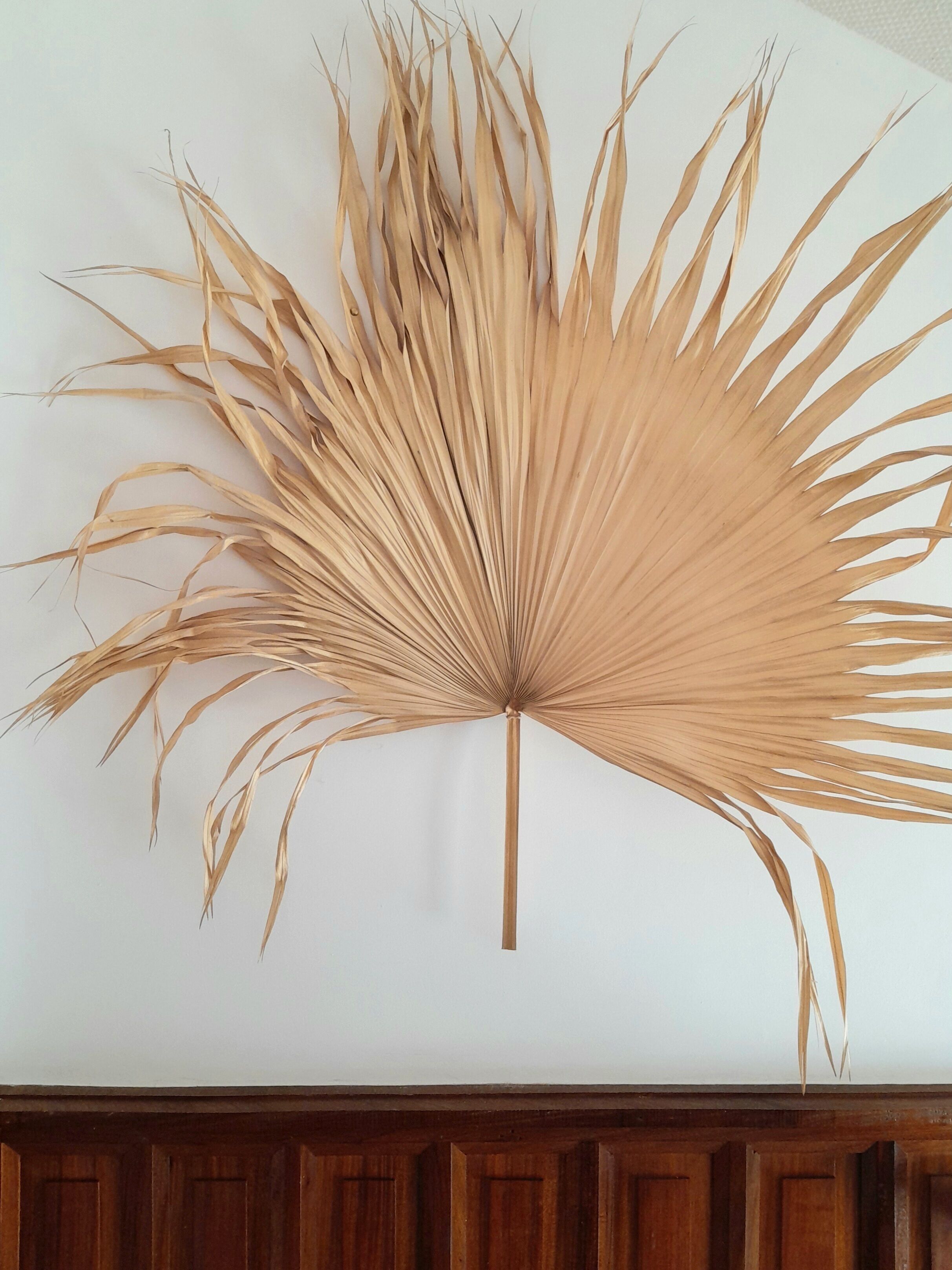 A large, dried palm leaf decoration hanging on a white wall.