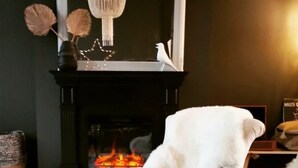 A cozy room with a fireplace, a white armchair, and two glasses of wine on a table. - Maison de Ville à Proximité du Port et des Commerces! (Camaret-sur-Mer)