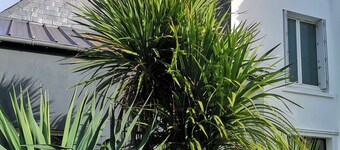 PENINSULAR HOUSE, à 5 min du port, idéal de 1 à 6 personnes