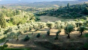 A panoramic view of a rural landscape with olive groves, rolling hills, and distant mountains. - Channel Suite - 2 (Sinalunga)