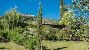 Un jardín con una pérgola, diversas plantas y una vista distante de una colina con edificios.