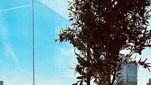A modern interior with a large window, a potted tree, and decorative glass lanterns.