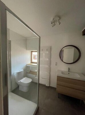 Shower, towels, toilet paper