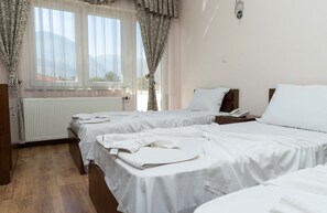 Economy Triple Room | Desk, iron/ironing board, free WiFi