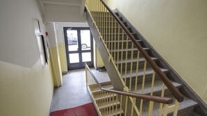 A staircase with yellow handrails and a red carpet leading to a door with a car visible outside.