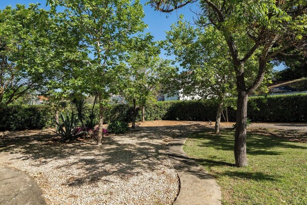 Ein angelegter Garten mit Kiesweg, Bäumen und einer Hecke.