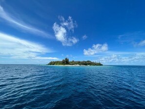 Miscellaneous - All inclusive Catamaran cruise (Malé)