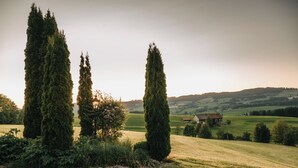 A rural landscape with three tall cypress trees, a grassy field, and a house in the background. - Apartment with 180sqm - in a former quiet farmhouse (Weitnau)