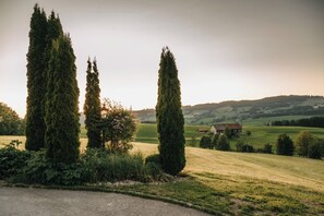 المنطقة المحيطة بالمنشأة