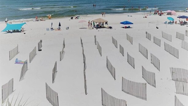 Une plage avec un ciel dégagé, une mer calme, ainsi que plusieurs parasols et chaises de plage.