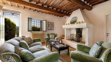 電視、壁爐、DVD 播放機