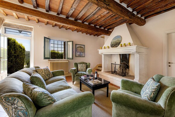 TV, fireplace, DVD player