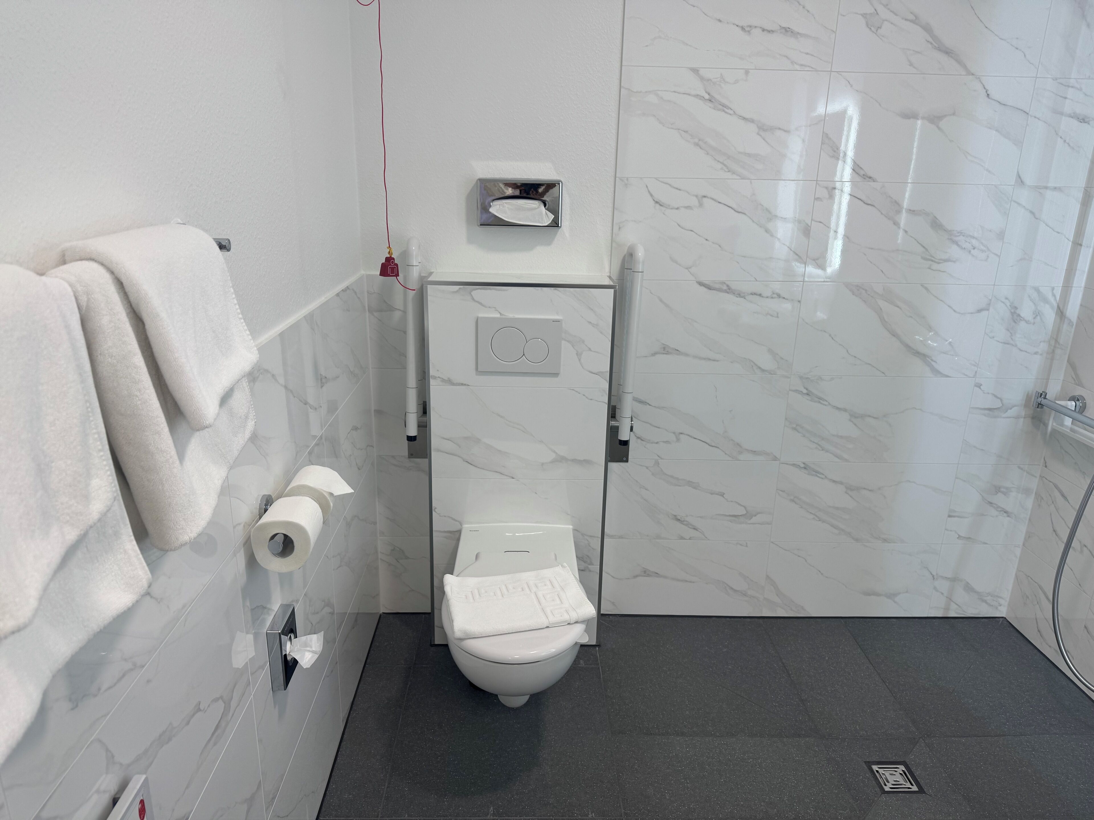 Une salle de bain comprenant des toilettes, un porte-serviettes, un support à papier toilette et un espace douche.