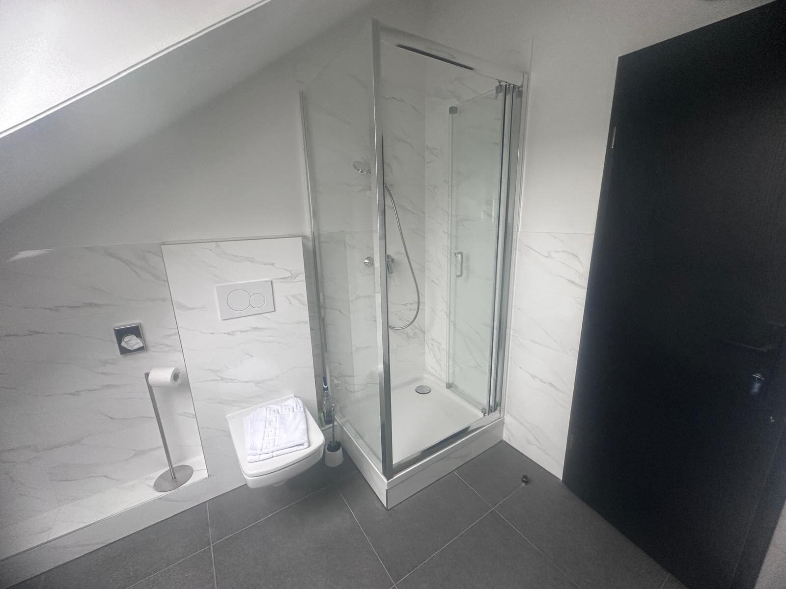 Ein modernes Badezimmer mit einer gläsernen Duschkabine, einer Toilette und einem Handtuchhalter.