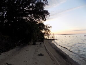 Una playa con arena, árboles y un mar tranquilo.