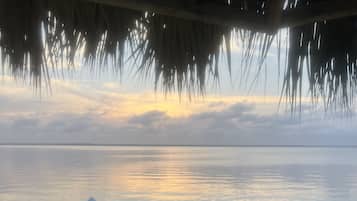 Terrain de l’hébergement