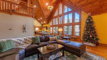 TV connectée, cheminée, jeux vidéo, livres