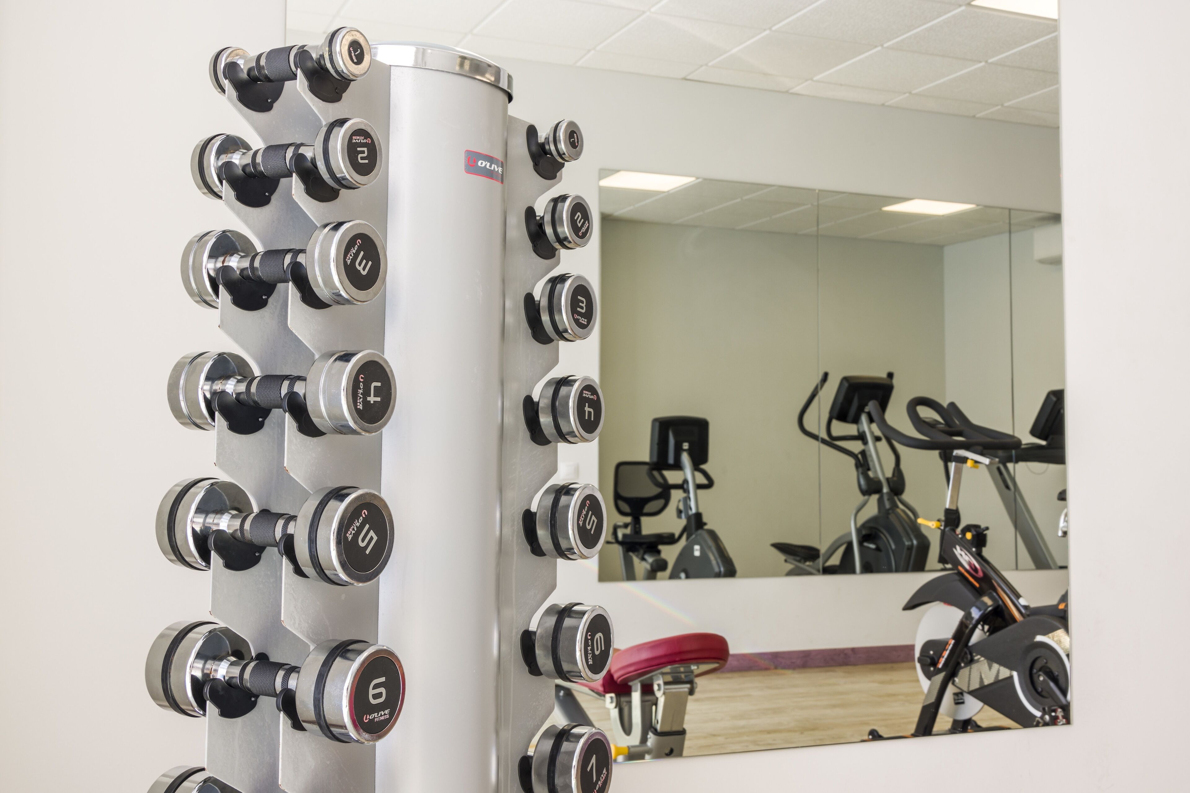 A gym with a wall-mounted dumbbell rack and a mirror reflecting exercise equipment.