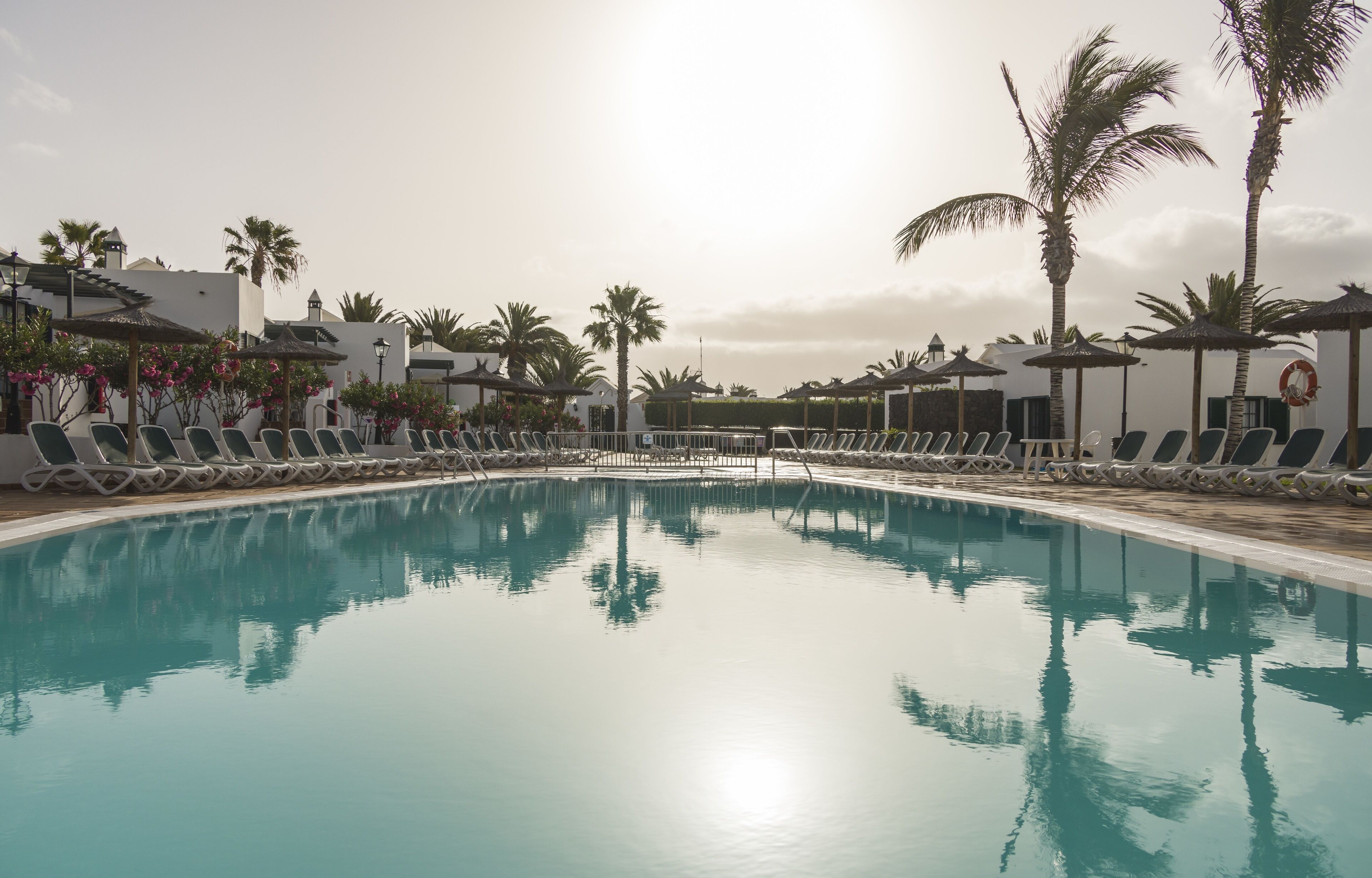 A swimming pool with lounge chairs and palm trees.