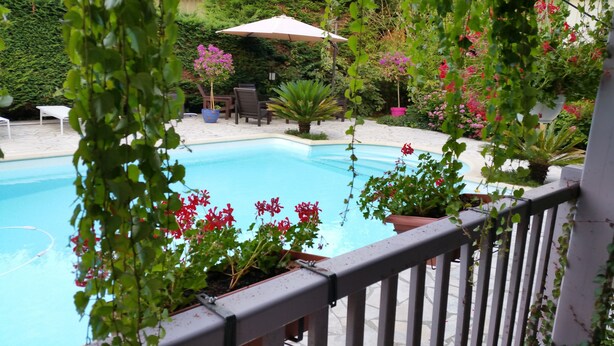 Une piscine entourée de plantes en pot et de meubles d’extérieur.