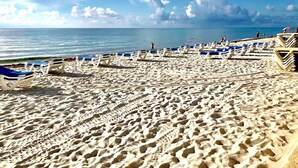 A beach with rows of sun loungers and umbrellas, a sandy shore, and the ocean in the background. - The Tides on the Beach by Aurich Designs (Hollywood)