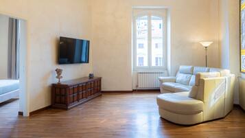 Smart TV, fireplace, books