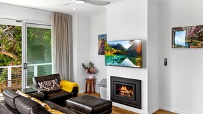 Fernseher, Kamin
