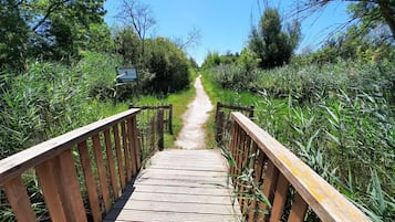 Enceinte de lâhĂ©bergement