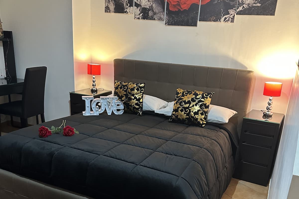 Monolocale Premium, 1 letto queen con divano letto, vista parco, lato giardino | Biancheria in cotone egiziano, biancheria da letto di alta qualità