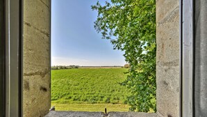 Una ventana con vista a un campo verde y un árbol.