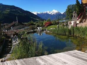 Un étang paisible avec une terrasse en bois, entouré d’une végétation luxuriante et dominé par une chaîne de montagnes.