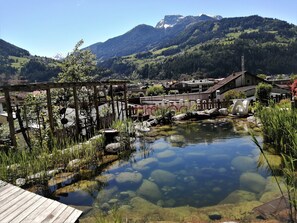 Property grounds - 1 Raffaela Apartment (Zellberg)