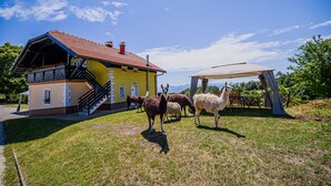 Property amenity - Eko Pony Ranch Ogrizek (Podcetrtek)