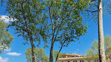 A street view with parked cars, trees, and buildings.