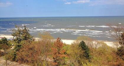 Villa Schering Appartemen EG Links