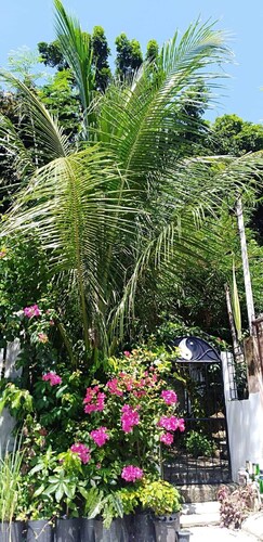 Cozy 1-bedroom house in quiet residential village.