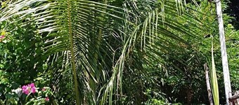 Cozy 1-bedroom house in quiet residential village.